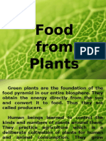 Food From Plant