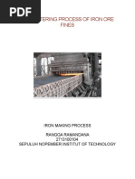 The Sintering Process of Iron Ore Fines