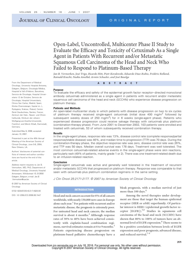 IS ERBITUX CHEMOTHERAPY intelligence overview