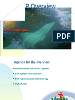 SAP overview.ppt