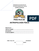 Antroplogia Formato de Practica Museo