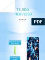 Tejido Nervioso