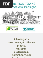 Transition Talk | Isabela Maria Gomez de Menezes | Transition Brasil | Instituto IBEST