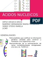 Ácidos Nucleicos - 2CM9