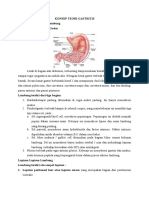 Konsep Teori Gastritis