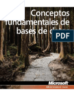 fundamentos de bases de Datos.pdf