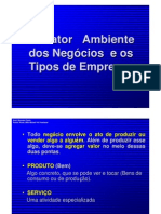 1._Tipos_de_Empresas_e_o_Mundo_dos_Negocios