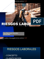 Principales Riesgos Laborales