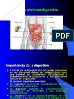 01-Sistema Digestivo humano.ppt