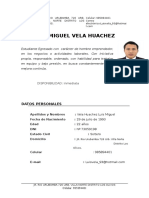 MODELO CV.doc