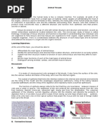 Animal Tissue Hand-Out Bio 101