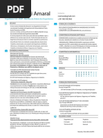 Cv Rui Amaral Jul 2016