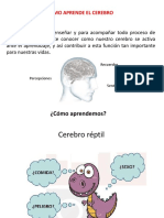 Cerebro Que Aprende