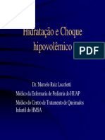 hidratacao e choque hipovolemico (1).pdf