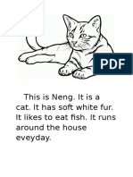 This Is Neng. It Is A Cat. It Has Soft White Fur. It Likes To Eat Fish. It Runs Around The House Eveyday
