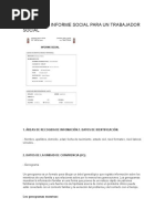 Modelo de Informe Social sobre Violencia | PDF | Violencia | Trabajo Social