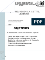 Vegija Neurogenica Cistitis Uretritis