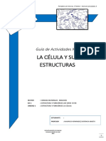 1°-Guía-Actividades-3 (1).pdf