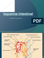 Isquemia Intestinal