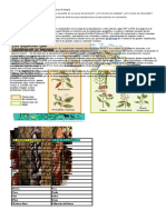 agricultura entre Amèrica y Europa.docx