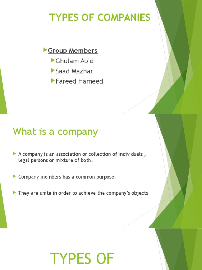 Types of Company Structures Explained | PDF | Limited Company | Public ...