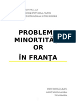 Problema Minoritatilor in Franta