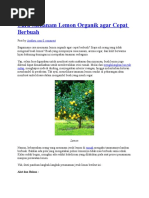 Download Cara Menanam Lemon Organik Agar Cepat Berbuah by DedyImranSolin SN320985810 doc pdf