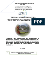 TDR Creación e Implementación Del Laboratorio de de Simulacón Mat y Estadistica Con Fines Academicos e Investigación