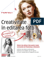 Portretul Perfect Creativitatea in Editarea Foto 1-15