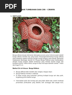 Gambar Tumbuhan Dan Ciri Pdf