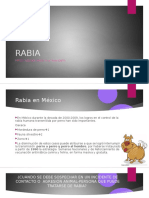 RABIA.ppt