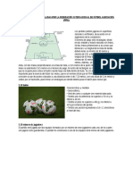 17 REGLAS  DE FÚTBOL.docx