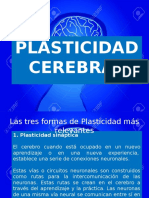 Plasticidad Cerebral