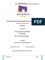 265592335-Evidencia-DDT.pdf