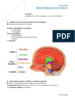 Cuestionario Bases Biológicas