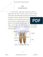 Struktur Gigi dan Dentin