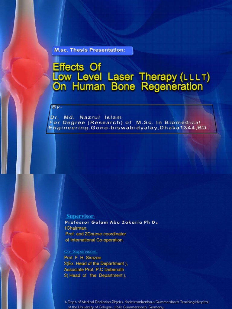Fracture healing thesis 05 picture