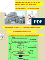 REPLICACION_TRANSCRIPCION-exposicion (1).pdf