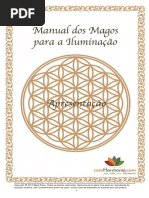 ManualdosMagos-Introducao (1)
