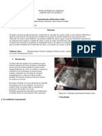 Informe de Práctica de Laboratorio