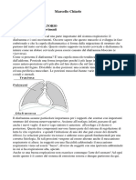 Il Sistema Respiratorio - Italiano