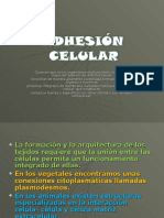 Adhesion Celular 1