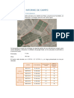 Informe de Salida A Campo