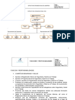 Estructura Organizacional y Responsabilidades de SSO