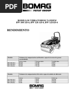 Brochure Rodillo.pdf