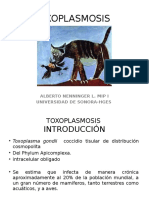 Toxoplasmosis 