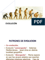 4 Patrones de Evolucion