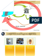 Paradigmas .Pps