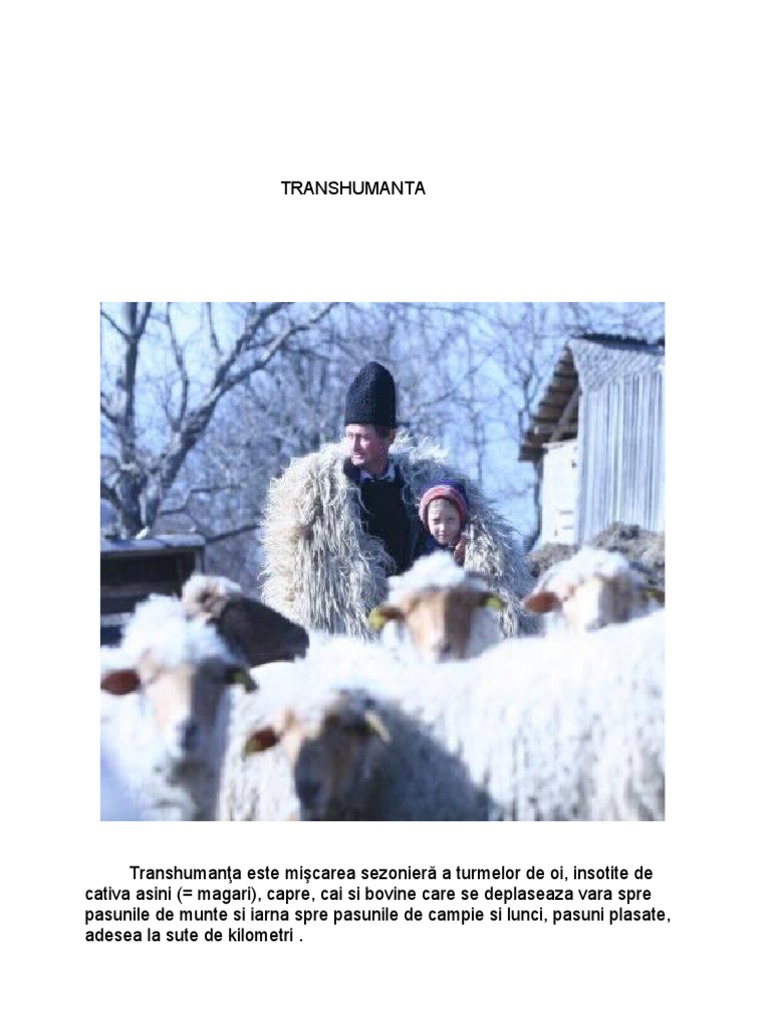 Transhumanta La Romani | PDF