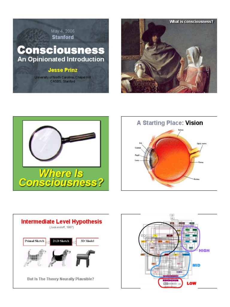 Consciousness and Attention Insights | PDF